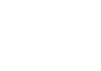 HONGLITRONIC